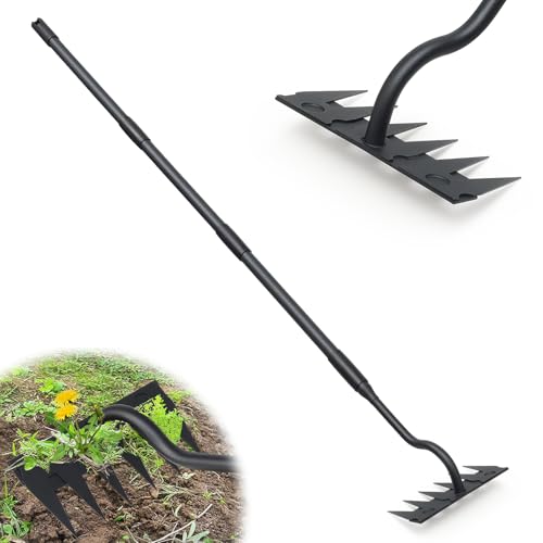 Manual Weeder Tool,6 Tines Garden Weeding Rake with Sharp Blade,55 Inch Long Handle,Heavy Duty Stand Weeding Tool for Weeding Loosening Soil Gathering Leaf Leveling Thatch Rake - style: 6 Teeth