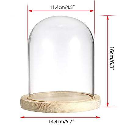 JUXYES 4.5x6 Inch Clear Glass Display Dome Cloche with Maple Wood Base