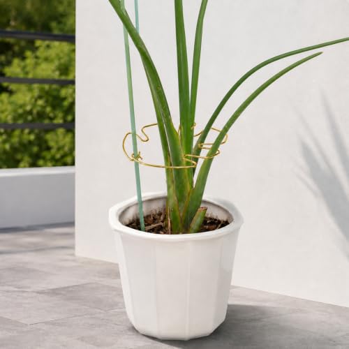 Yohsnor Monstera Stem Support - 5-Piece Durable Plant Support System for Monstera & Turtle Shell Plants -Premium -Quality Leaf Clamps -Easy-to-Use Indoor Garden Stabilizers for Healthy Growth - color: Gold, size: 7.3IN*6.25IN