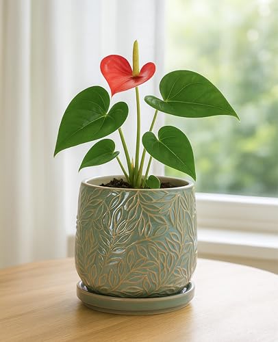 D'vine Dev Embossed Leaves Ceramic Planter, 5 in, Olive, 27-A-V-0 - color: Olive, size: 5 Inch