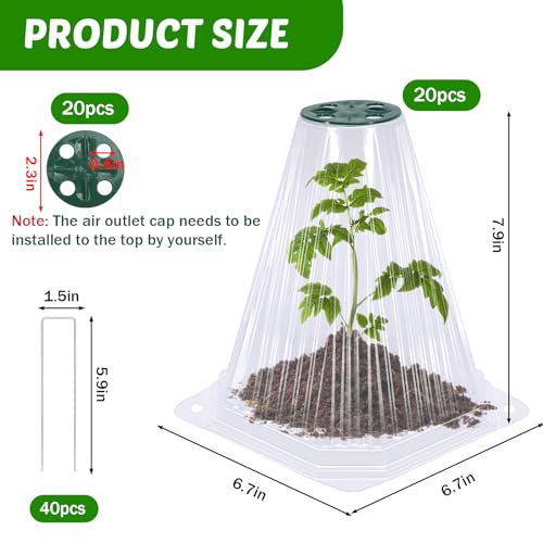 VICAMB 20 Pack Garden Cloches for Plants with 40PCS Ground Stakes,Clear Reusable Bell Covers with Rotatable Vent for Plant Protection,Garden Protector from Animals Birds Chicken,7.9" H X 6.7" D
