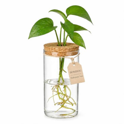 HOMSFOU Plant Propagation Stations, Glass Hydroponic Vase with Cork Lid