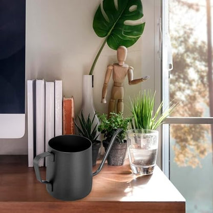 Small Watering Can Indoor Plants 12 OZ Mini Watering Can Stainless Steel - color: Black