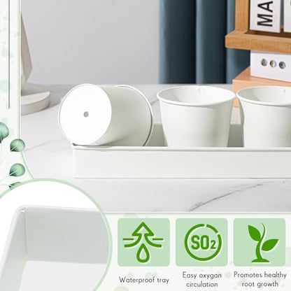 FoldTier 2 Sets Indoor Herb Garden Planter Kit with 10 Metal Pots, White - color: White
