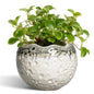 Ceramic Plant Pots 4 Inch, Small Ceramic Planter, Beige-Grey - color: Beige-grey, size: 4.5 Inch