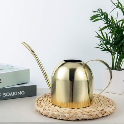 IMEEA 30oz Indoor Plant Watering Can Stainless Steel Long Spout, Gold - color: 30oz (1l) - Gold