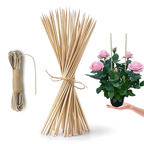 HOPELF 50 Pack 8" Bamboo Plant Stakes for Wood Garden Sticks，Wooden Indoor Gardening Floral Plant Support ，Potted Plants，Crafts, More Size Choices 8"/12"/16" - color: bamboo, size: 8 inch