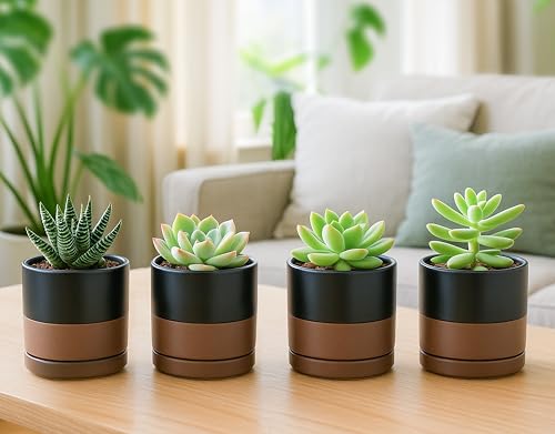 D'vine Dev 4-Pack Ceramic Pots with Saucers, Black/Tan, 3.5 in, 94-X-A-7 - color: Black/Speckled Tan, size: 3.5 Inch