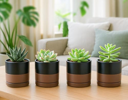 D'vine Dev 4-Pack Ceramic Pots with Saucers, Black/Tan, 3.5 in, 94-X-A-7 - color: Black/Speckled Tan, size: 3.5 Inch