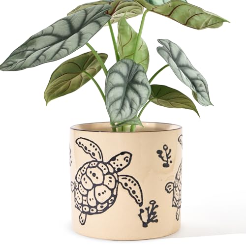 STHIE 5 Inch Ceramic Plant Pots for Indoor Plant with Drainage, Sea Turtle - color: Sea Turtle