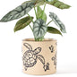STHIE 5 Inch Ceramic Plant Pots for Indoor Plant with Drainage, Sea Turtle - color: Sea Turtle
