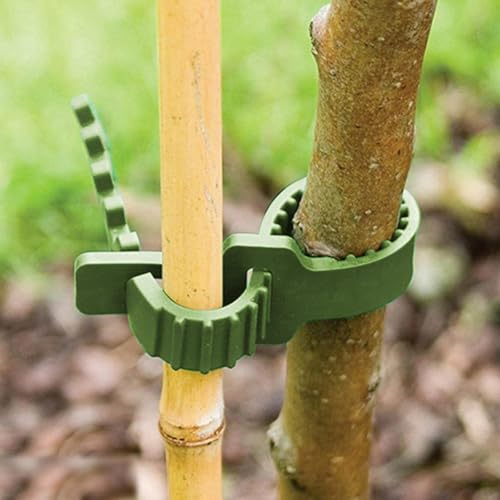 GEZICHTA 10 PCS Tree Stake Support Bands, Heavy Duty Adjustable Interlock Tree Plant Ties, Reusable Garden Plants Shrub Ties 9.4 inch(Green), free size