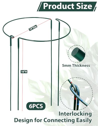 6 Pack 10" W x 16" H Plant Half Round Metal Support Stakes