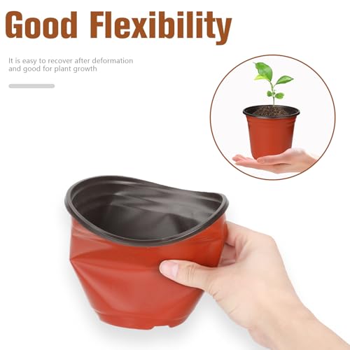 40 PCS Plant Nursery Pots 6 Inch Plant Seedling Pots with Drainage Holes Plastic Plant Flower Pot Small Plastic Seed Starting Pot Starter Containers Office Home Indoor Outdoor - color: Red-6 Inch-40pcs