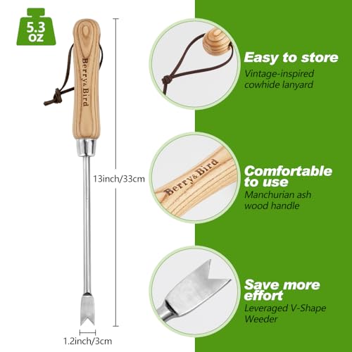 Dandelion Weeding Tool, Crack Weeder Hand Weeder Puller Tool - size: 13'' Dandelion Weeder