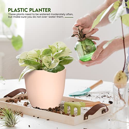 Plant Pots Indoor with Drainage, 5 Pack Multi-Size Planters Set, Pink - color: Peach Pink, size: Pack of 5