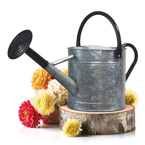 Plexon Metal Watering Can Outdoor 1 Gallon, Flower Plant Gardening Garden Large Galvanized Watering Can Pot Pitcher, Steel Black Handles and Removable Spray Spout - color: Silver