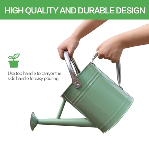 Metal Watering Can 1 Gallon for Outdoor Garden Plants, CGreen - color: Cream Green