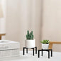 2-Pack Mini Plant Stand, Modern Cross Shape, Black - size: 2 Pack - Mini