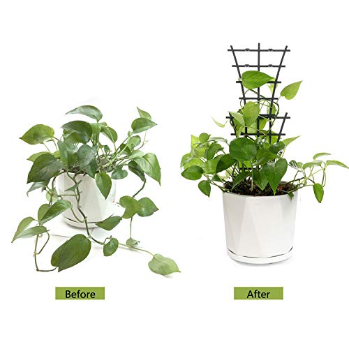 Feitore 4Pcs Indoor Plant Trellis for Climbing Plants Outdoor, Stackable - size: 4 Pcs