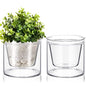 Baderke 2 Pcs 4 Inch Self Watering Pot for Indoor Plants Clear Glass Planter Small Plant Pot with Saucer Reservoir Drainage Holes Bottom Watering Pot for African Violet Orchid Flowers Houseplant - style: /