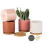 4 Inch Ceramic Multicolor Pots with Saucer & Drainage Hole, Set of 4 - color: Warm Multicolor