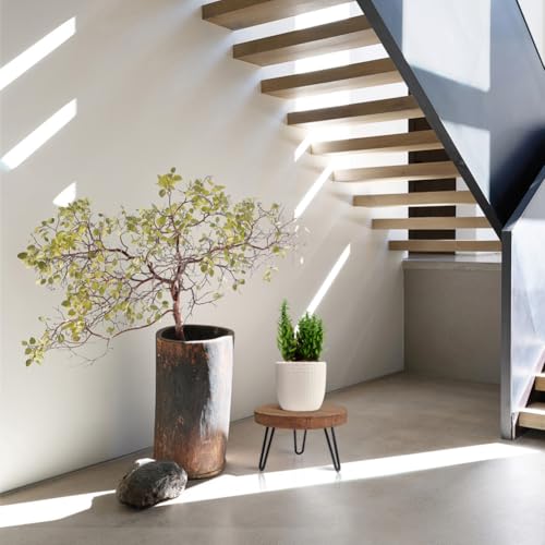 OBTAIN Plant Stand Indoor Outdoor, Wooden plant Stool, Mid Century Plant Stand for Indoor Plants, Wood Modern Plant Holder Rattan Flower, Low Short Boho Rustic Planter Stand Fit 5-15 Inch Pot(M) - size: Medium