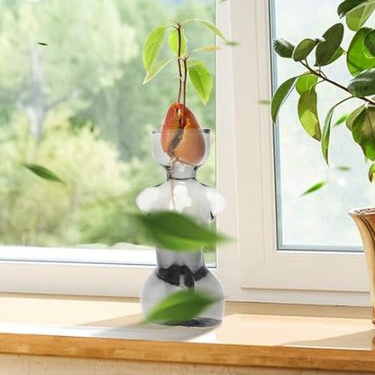 Plant Propagation Jars Unique Body Avocado Vase - color: Gray