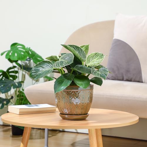 Sureasy 6.5 Inch Ceramic Plant Pots Set of 2, Green Embossed - color: Green, size: 6.5 inch