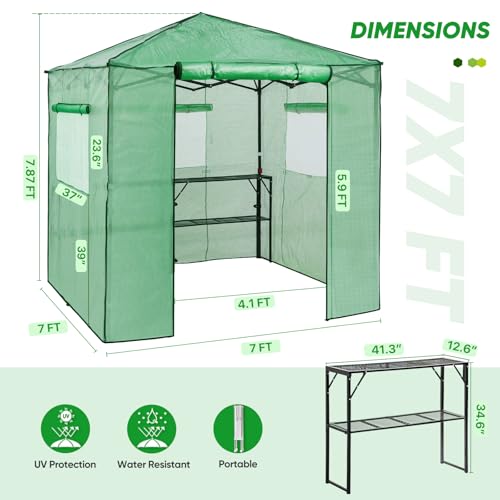 EAGLE PEAK 7x7 Easy Setup Pop Up Greenhouse, 2 Folding Shelves, Clear/Green - color: Clear/Green, size: 7x7