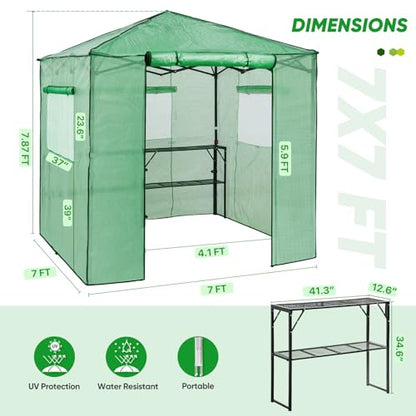 EAGLE PEAK 7x7 Easy Setup Pop Up Greenhouse, 2 Folding Shelves, Clear/Green - color: Clear/Green, size: 7x7