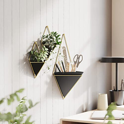 Umbra Trigg Wall Display, Large Geometric Planter Vessel, Black/Brass - color: Black/Brass, size: Large