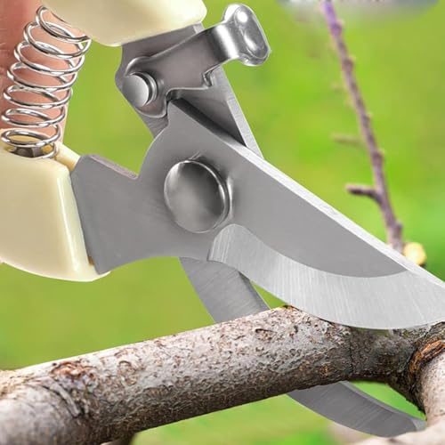 Premium Branch Pruning Shears, Stainless Steel Blade Drop Forged Body and Handle, Ultra Fine Polished Gardening Shears for Tree Trimming Shaping Deadheading