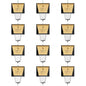 Ultimate Pro Outdoor Carpenter Bee Trap by Best Bee Brothers, Black 12-Pack - color: Black, size: 12 Pack