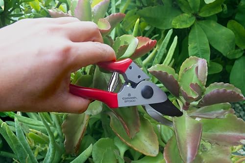 Corona Tools Yard Essentials Pocket Pruner - size: Pocket Pruners