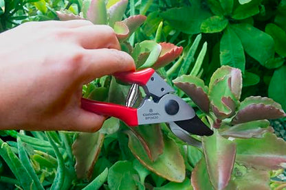 Corona Tools Yard Essentials Pocket Pruner - size: Pocket Pruners