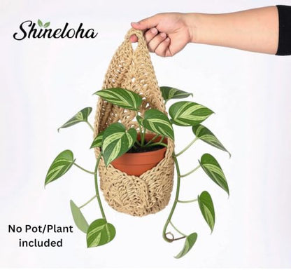 2 Pack Macrame Wall Plant Hanger for 6 inch, Wall Plant Basket - size: Large