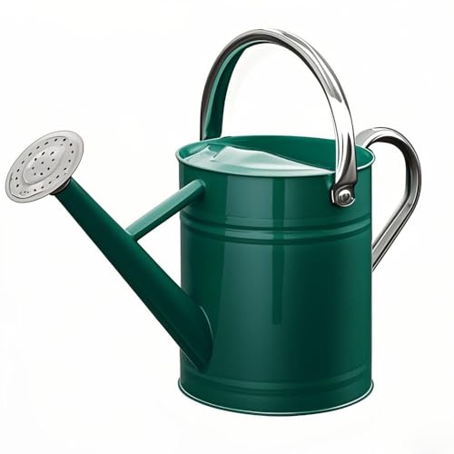 Metal Watering Can for Outdoor Plants, Watering Can Decor 1 Gallon (Green) - color: 005 Green Stainless Steel Handle