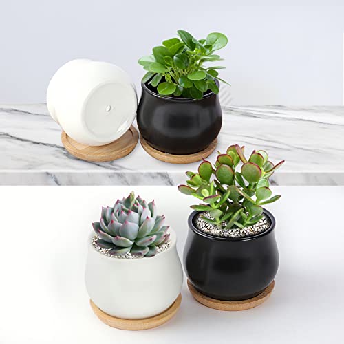SHECIPIN 12 Pack Succulent Plant Pot, Mini 2.6 inch Ceramic Flower Planter Pot with Bamboo Tray, Small Pots for Plants, Plants Not Included （White, Black） - color: Black,white