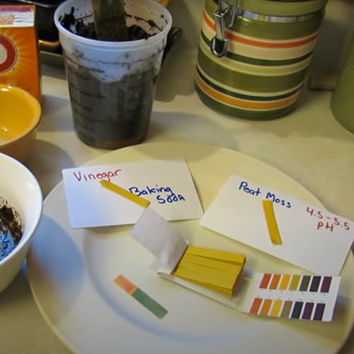20 Pack pH Test Strips, 1600 Strips pH 1-14 Universal Litmus Paper