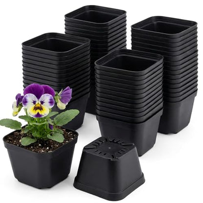 50 Packs Square Nursery Pots for Plants 4 Inch Seedling Pots - size: 4 Inch