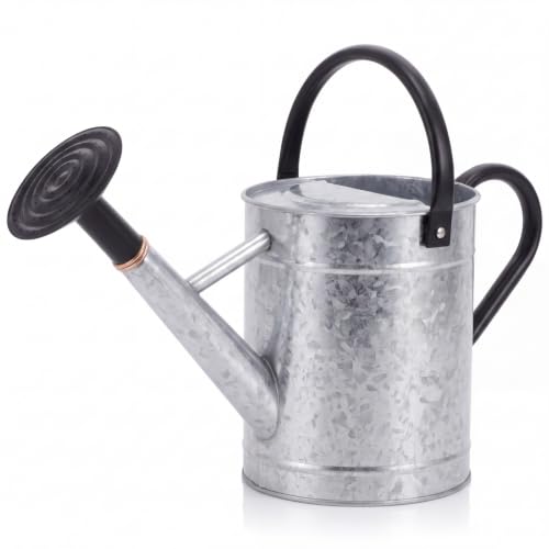 1 Pcs 1 Gallon Metal Watering Can for Indoor Outdoor Plants, Galvanized Garden Water Can with Long Spout and Dual Handles, Large Silver Watering Pot for Flowers, Houseplants, Yard