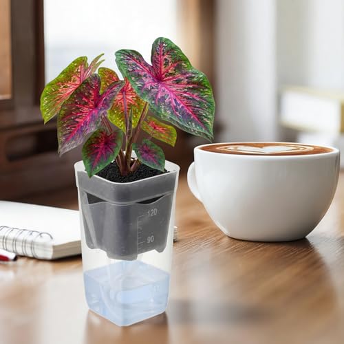 LemonRoad 20 Pack 2" Small Self Watering Pots for Indoor Plants - size: 2"