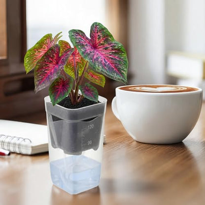LemonRoad 20 Pack 2" Small Self Watering Pots for Indoor Plants - size: 2"