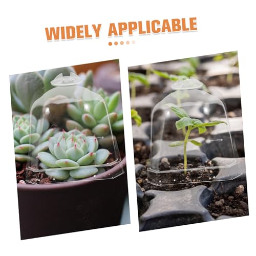 Toddmomy 10Pcs Transparent Greenhouse Dome Plant Cloche Covers - size: 7.50X7.50X7.50CM