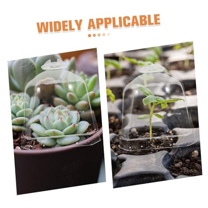 Toddmomy 10Pcs Transparent Greenhouse Dome Plant Cloche Covers - size: 7.50X7.50X7.50CM