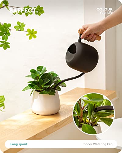 Baffect Watering Can Indoor Plants with Long Spout, 1.2L / 41oz (Black) - color: Black