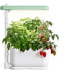 SUNCOZE Hydroponics Growing System Kit with 3 Pods for Beginners