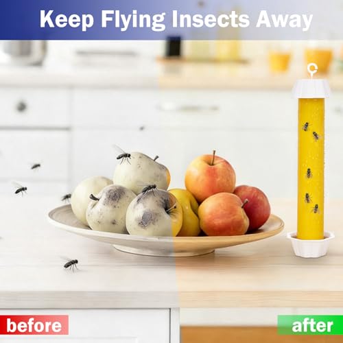 Sticky Fly Traps Indoors & Outdoor 6pk