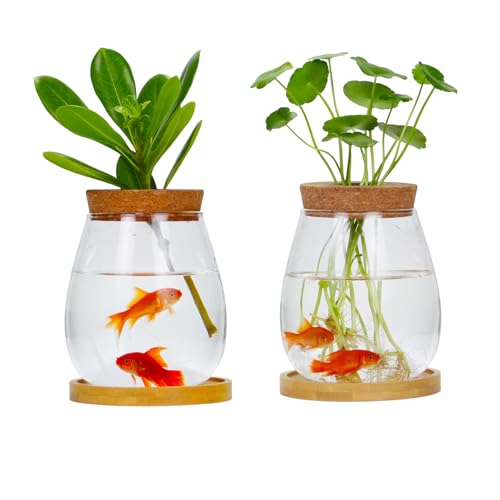 Desktop Plants Terrarium Propagation Station Hydroponic Planters Retro Oval Glass Vase with Lid and Stand Home Office Decoration Gifts 2 Pack